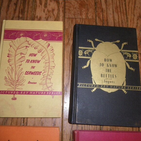 6 Vintage 1940's-50's Pictured-Key Nature Series Hardback Textbooks How to Know - Picture 2 of 7